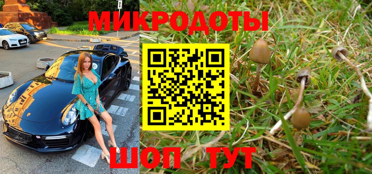 Галлюциногенные грибы GOLDEN TEACHER  Вход с VPN  Новороссийск 