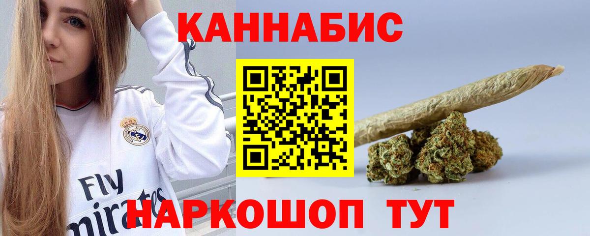 Канабис сатива Новороссийск